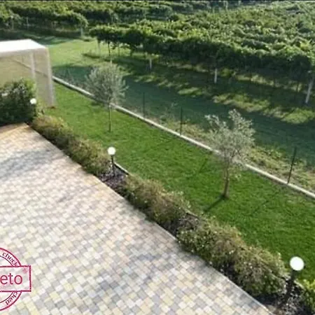Guest house Il Vigneto *